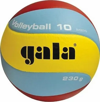 Volejbalový míč Gala Training BV5651 S 