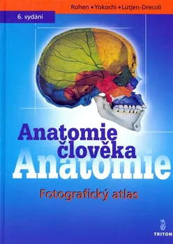 Anatomie člověka