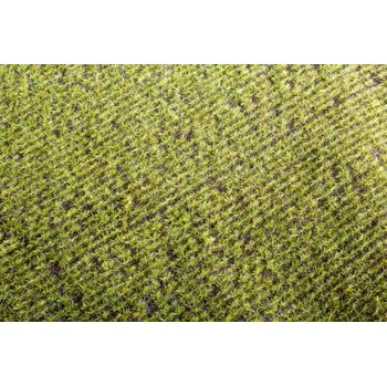 Modelová železnice MODEL SCENE F401 Foliáž - pole jarní 28x18cm MS30401