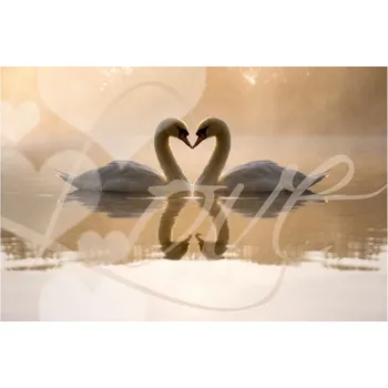 Balónek Přáníčko svatební Labutě
