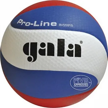 Volejbalový míč Gala Pro Line - BV 5591 S 