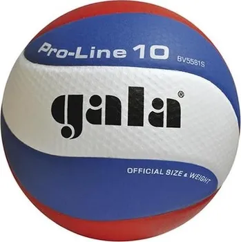 Volejbalový míč Gala Pro Line 10 - BV 5581 S