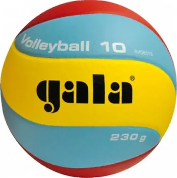 Volejbalový míč Gala Volleyball 10 - BV 5651 S