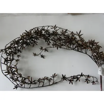 větvička s převisem bronz