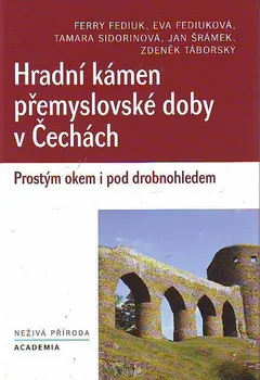 Hradní kámen přemyslovské doby v Čechách: Fediuk Ferry