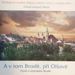 A V Tom Brodě, Při Olšavě - Cimbálová…
