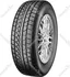 Zimní osobní pneu PETLAS W651 225/55 R16 95H