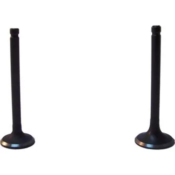 Motor pro motocykl Ventily, 125ccm