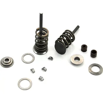 Ventil motoru Sada ventilů pro motor Zongshen 155