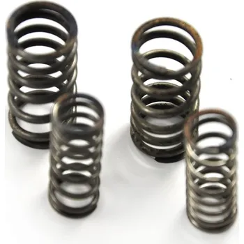 Motor pro motocykl Pružiny ventilů Lifan 140