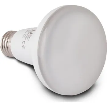 Žárovka Forever Light LED ŽÁROVKA E27 230V 10W R80 - TEPLÁ BÍLÁ