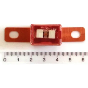 Autopojistky Pojistka 30A japonská C