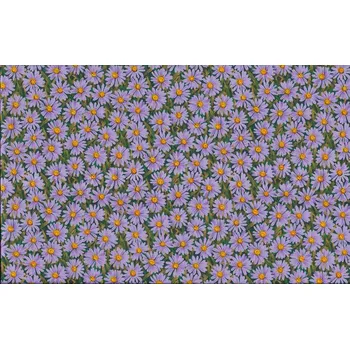 MAKOWER UK Látka bavlna v metráži 794L