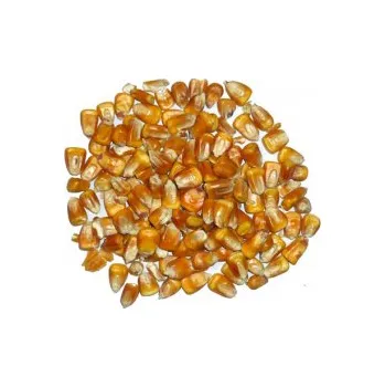 Krmivo pro ptáka Kukuřice 1kg