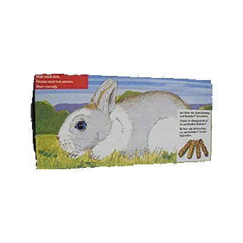 přepravka pro zvíře Krabice na přenos morčat