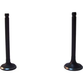 Motor pro motocykl Ventily, 110ccm- typ2