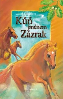 Kůň jménem Zázrak - Zuzana Holasová