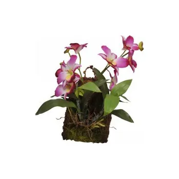 Teraristika Závěsná orchidej - purpurová cca 20x30cm