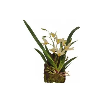 Teraristika Závěsná orchidej - bílá cca 20x30cm