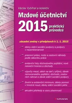 Mzdové účetnictví 2013 - praktický průvodce: Václav Vybíhal