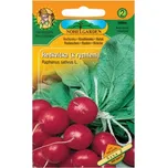 SEMO Saxa 2 ředkvička k rychlení 5 g