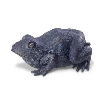 Vodní pumpa motoru Vodní chrlič žába