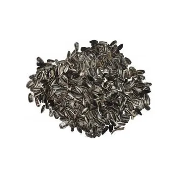 Krmivo pro ptáka Slunečnice žíhaná velká 25kg