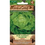 Moravoseed Salát hlávkový celoroční…
