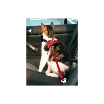 Postroj pro psa Bezpečnostní postroj do auta pro kočku