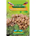 Nohel Garden Pholiota Nameko Šupinovka
