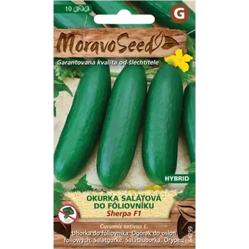 Semeno Moravoseed Okurka salátová do fóliovníku Sherpa F1 10 ks