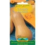 Nohel Garden Tykev pižmová muškátová 12…