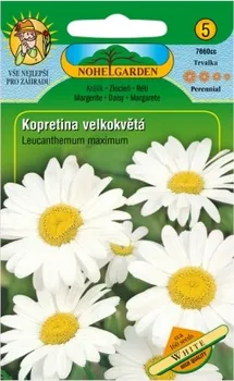 Semeno Nohel Garden Kopretina velkokvětá bílá 160 ks
