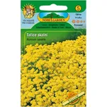 Nohel Garden Tařice skalní Yellow 0,4 g