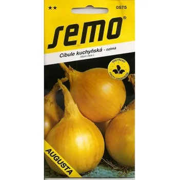 Semeno SEMO Cibule ozimá Augusta 400 ks