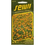 SEMO Aksamitník drobnokvětý oranžový…