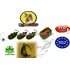 Extra Carp Method Feeder Set
