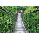 DIMEX fototapeta na podlahu Footbridge…