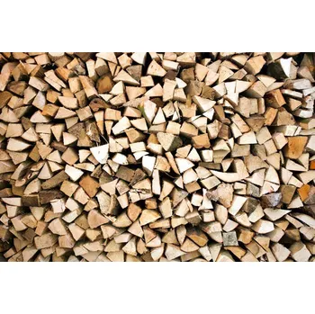 Fototapeta Dimex fototapeta na podlahu Timber Logs 255 x 170 cm