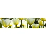 DIMEX Fototapeta do kuchyně 260 x 60 cm…