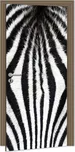 Dimex samolepicí fototapeta Zebra