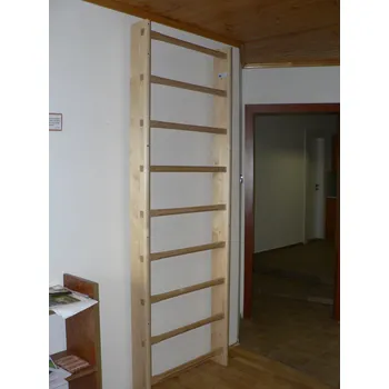 DOR-SPORT Žebřiny pokojové G4002 236x80 cm 9 příček multiplex kotvení