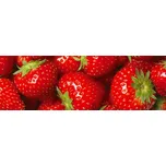 Dimex KI180-025 180 x 60 cm