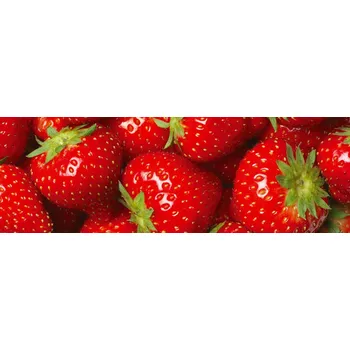 Fototapeta Dimex KI180-025 180 x 60 cm