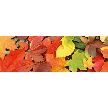 Fototapeta Dimex fototapeta do kuchyně Leaves