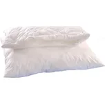 Brotex Alaska 70 x 90 zip polštář 900g…