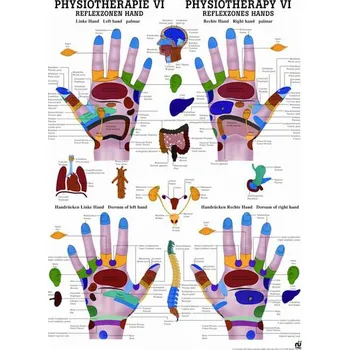 Rudiger Anatomie Reflexní zóny na rukou
