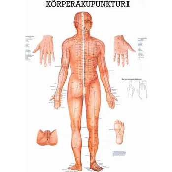 Rudiger Anatomie Akupunkturní body na lidském těle, přední a zadní pohled