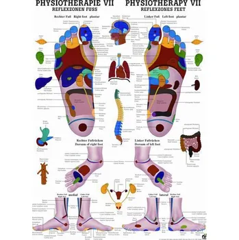 Rudiger Anatomie Reflexní zóny na nohou
