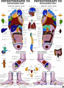 Plakát Rudiger Anatomie Reflexní zóny na nohou